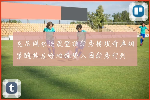 克尼佩尔逆袭登顶新秀榜埃奇库姆紧随其后哈珀强势入围新秀行列